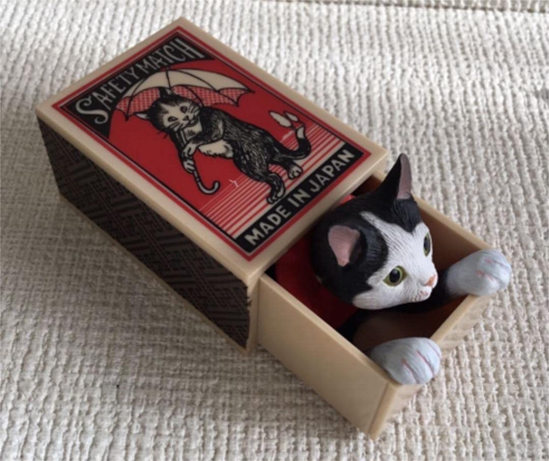 Amazon.co.jp: ガチャ船橋つとむマッチボックス猫ハチワレ